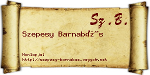 Szepesy Barnabás névjegykártya