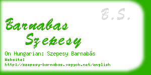 barnabas szepesy business card