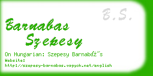 barnabas szepesy business card